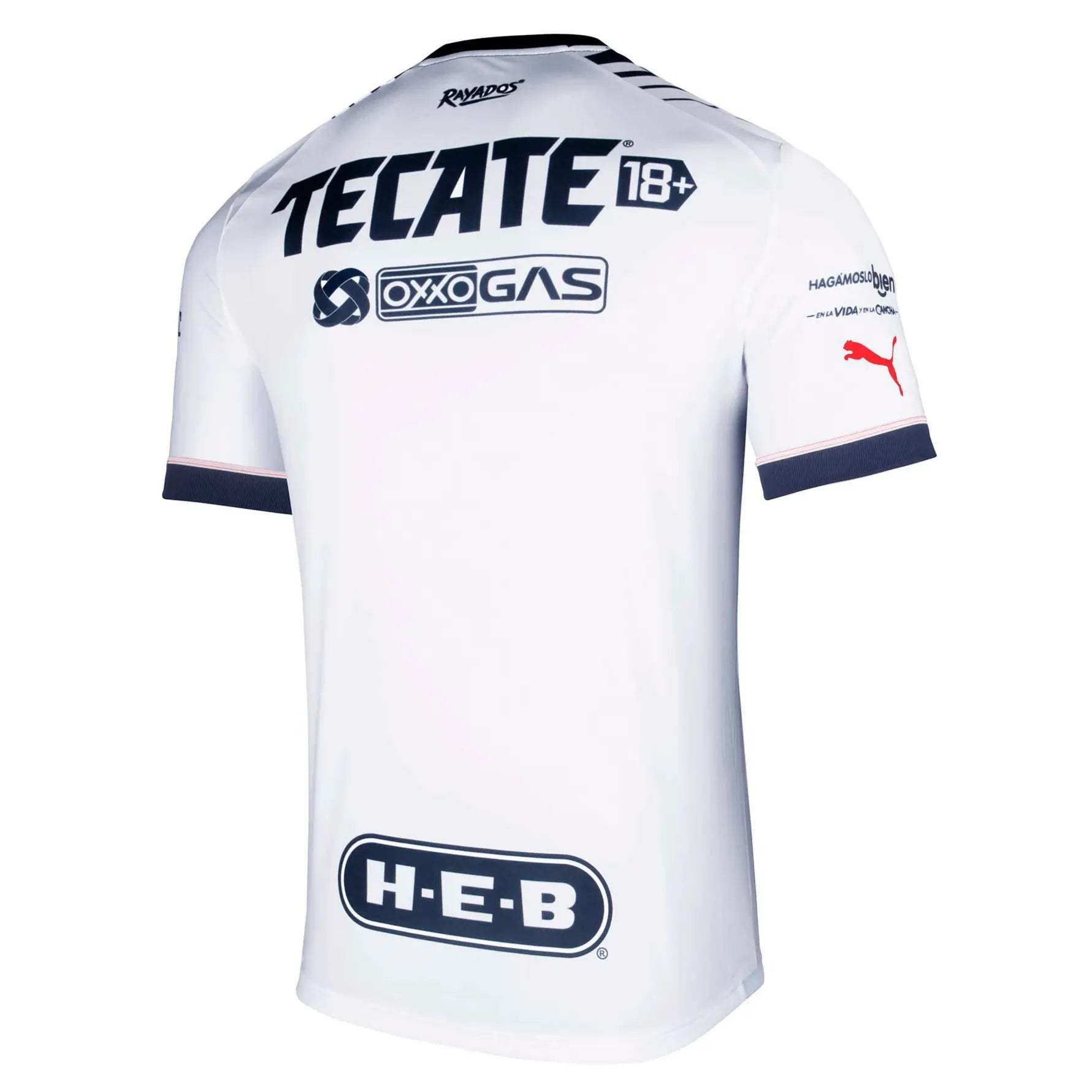 Puma 2022-23 Home Moneterrey Jersey Navy-White (Diagonal - Back)