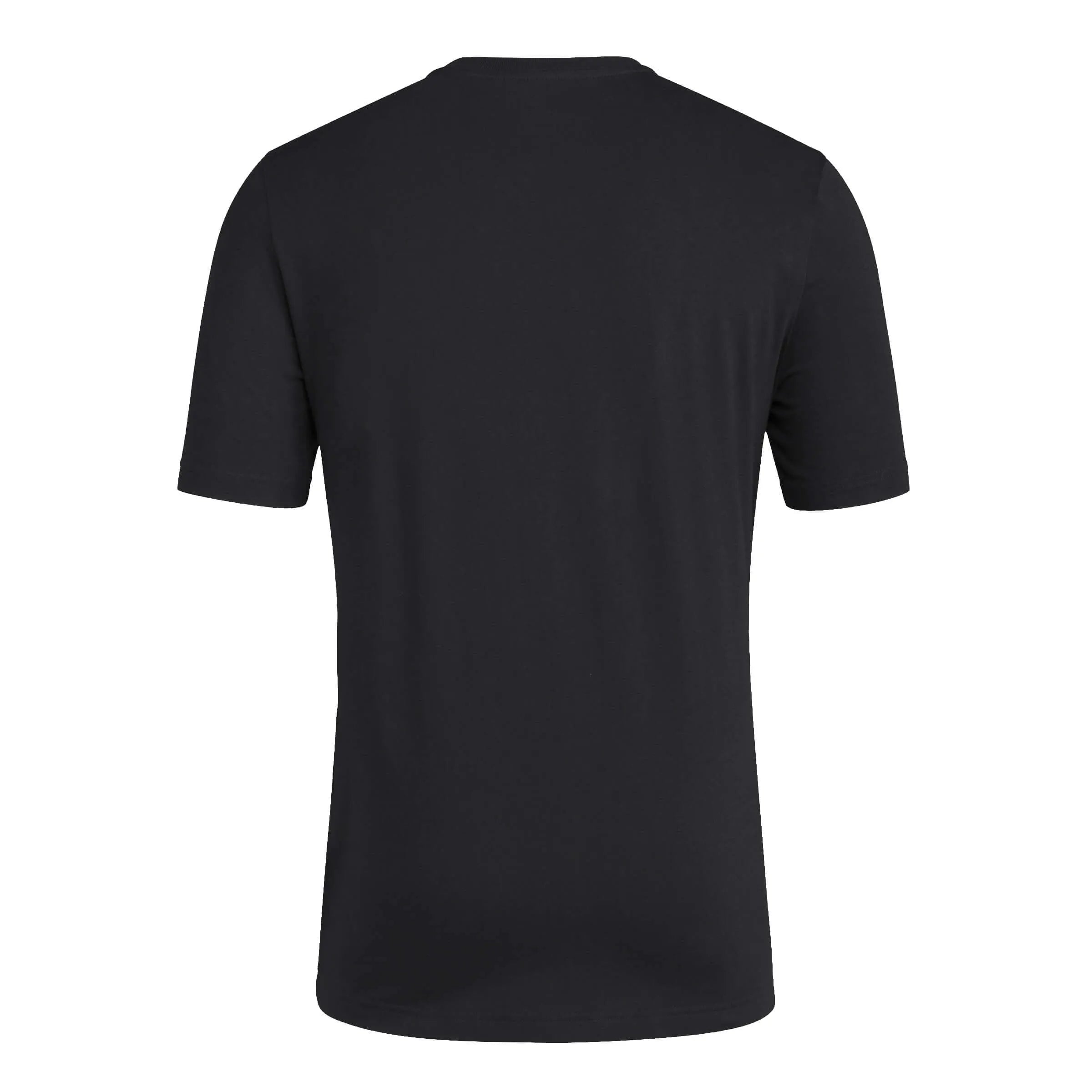 adidas 2024-25 Argentina Men's HBR Tee (Back)