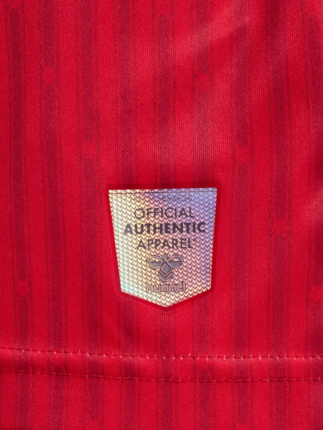 Hummel 2023-24 Southampton Stadium Home Jersey (Detail 5)