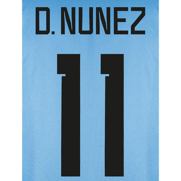 Uruguay 2022-23 Home Away  D. Nunez #11 Jersey Name Set (Back)