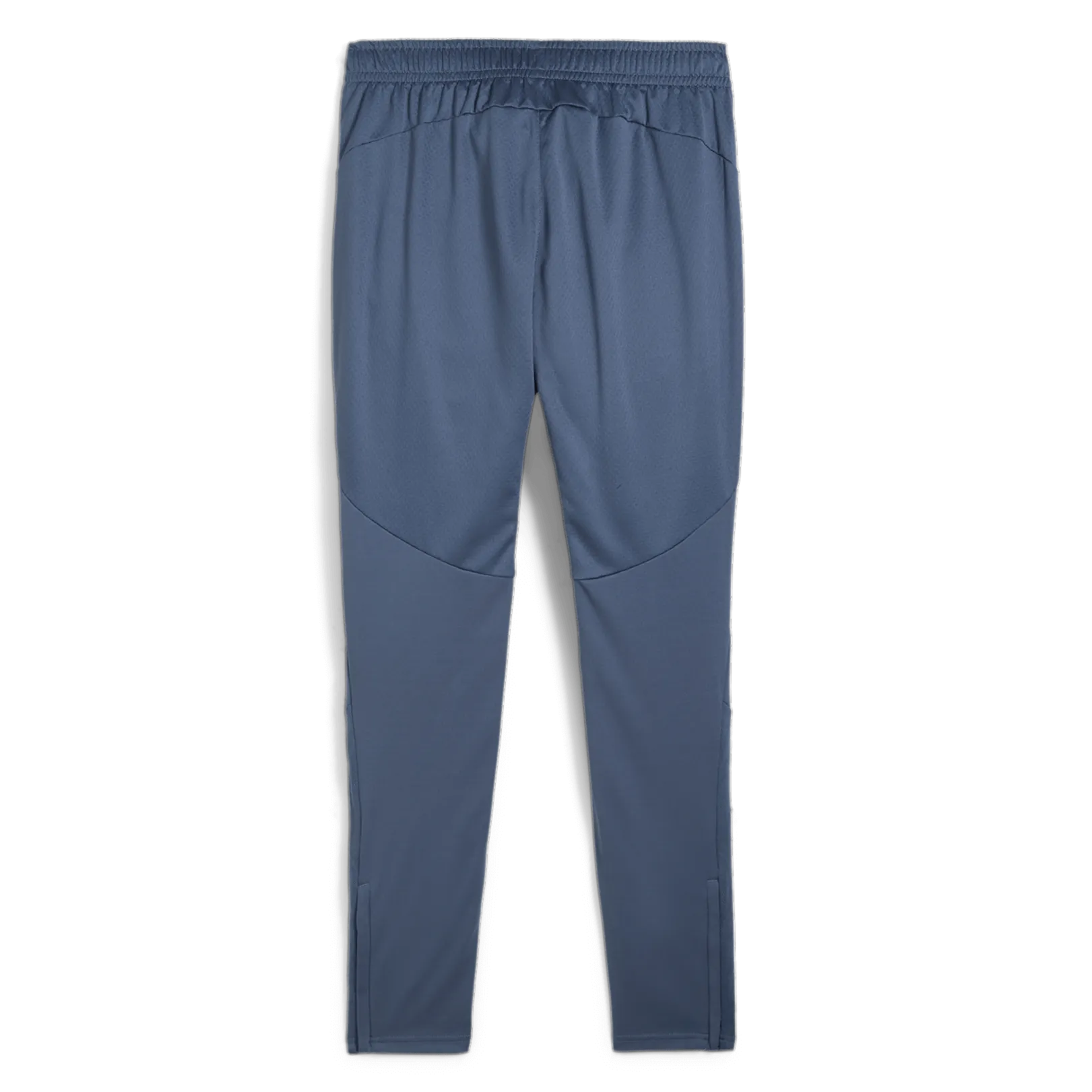 Puma 2024-25 Manchester City Men's Training Pants (Back)