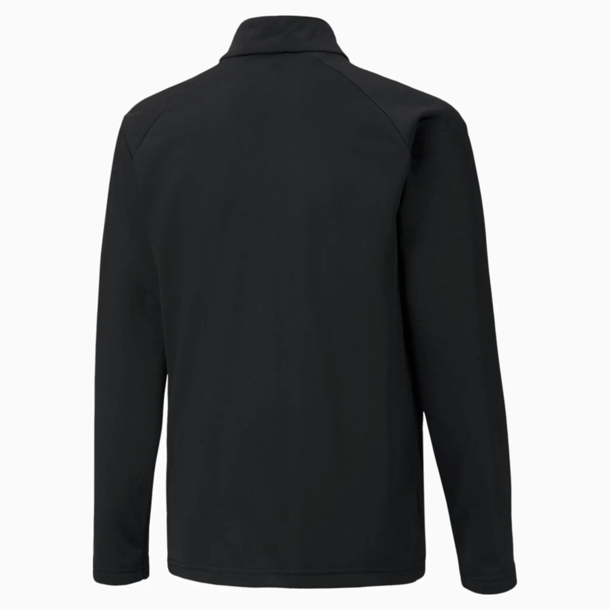 Puma TeamLiga Training jacket Jr - Black - White (Back)