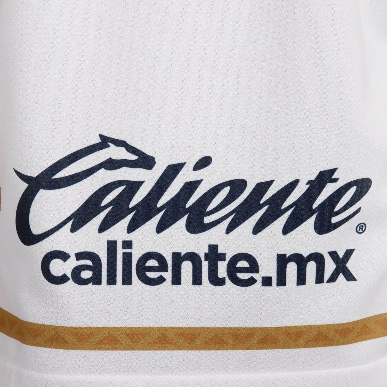 Nike 2024-25 Pumas Men's Stadium Home Jersey (Detail 4)