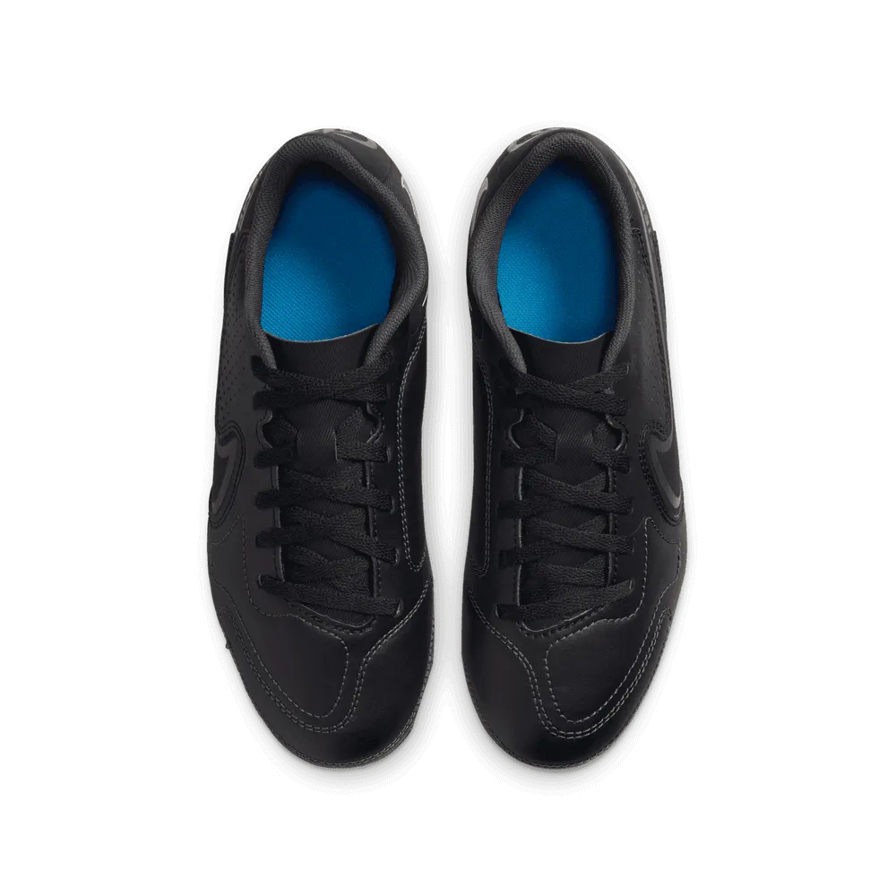 Nike JR Legend 9 Club FG/MG Black-Summit (Pair - Top)