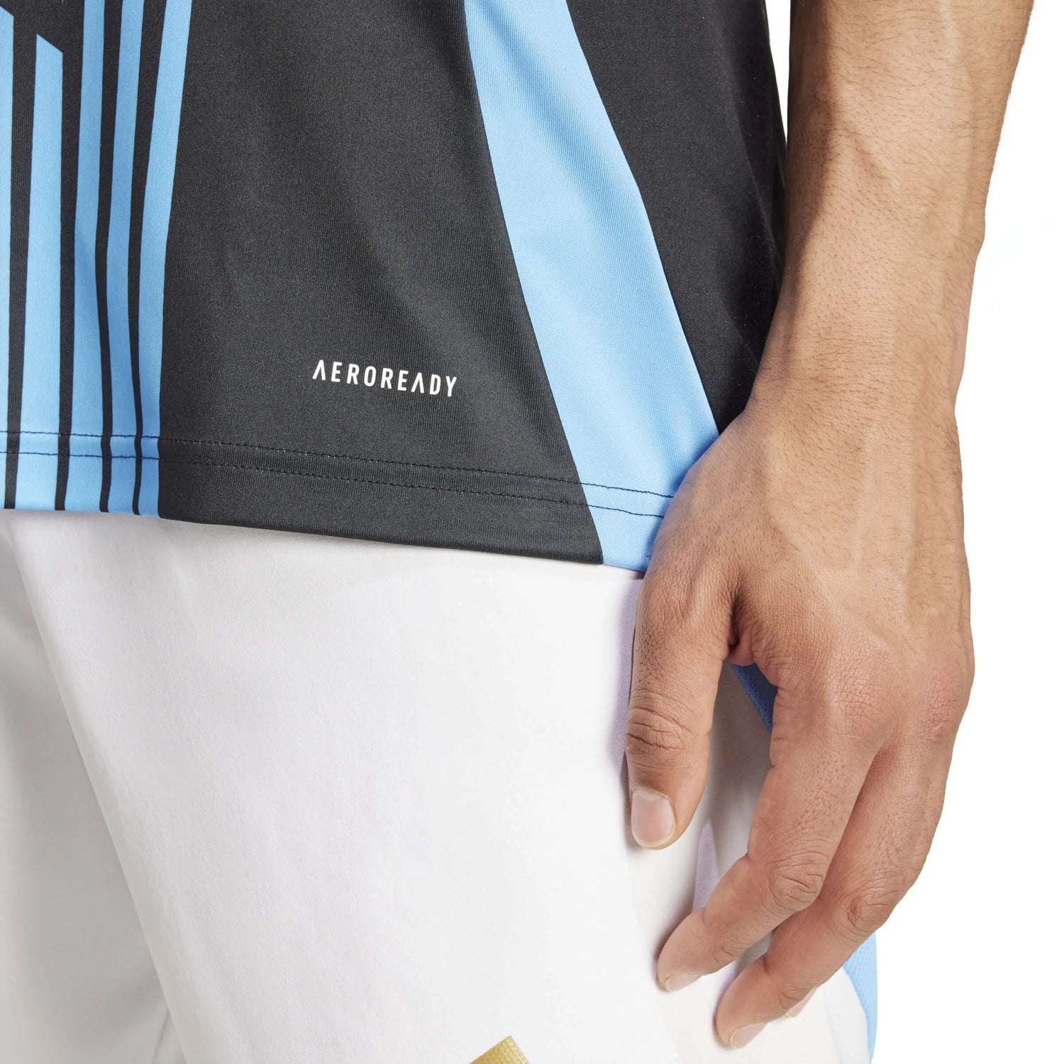 adidas 2024-25 Argentina Men's Pre-Match Jersey (Detail 2)
