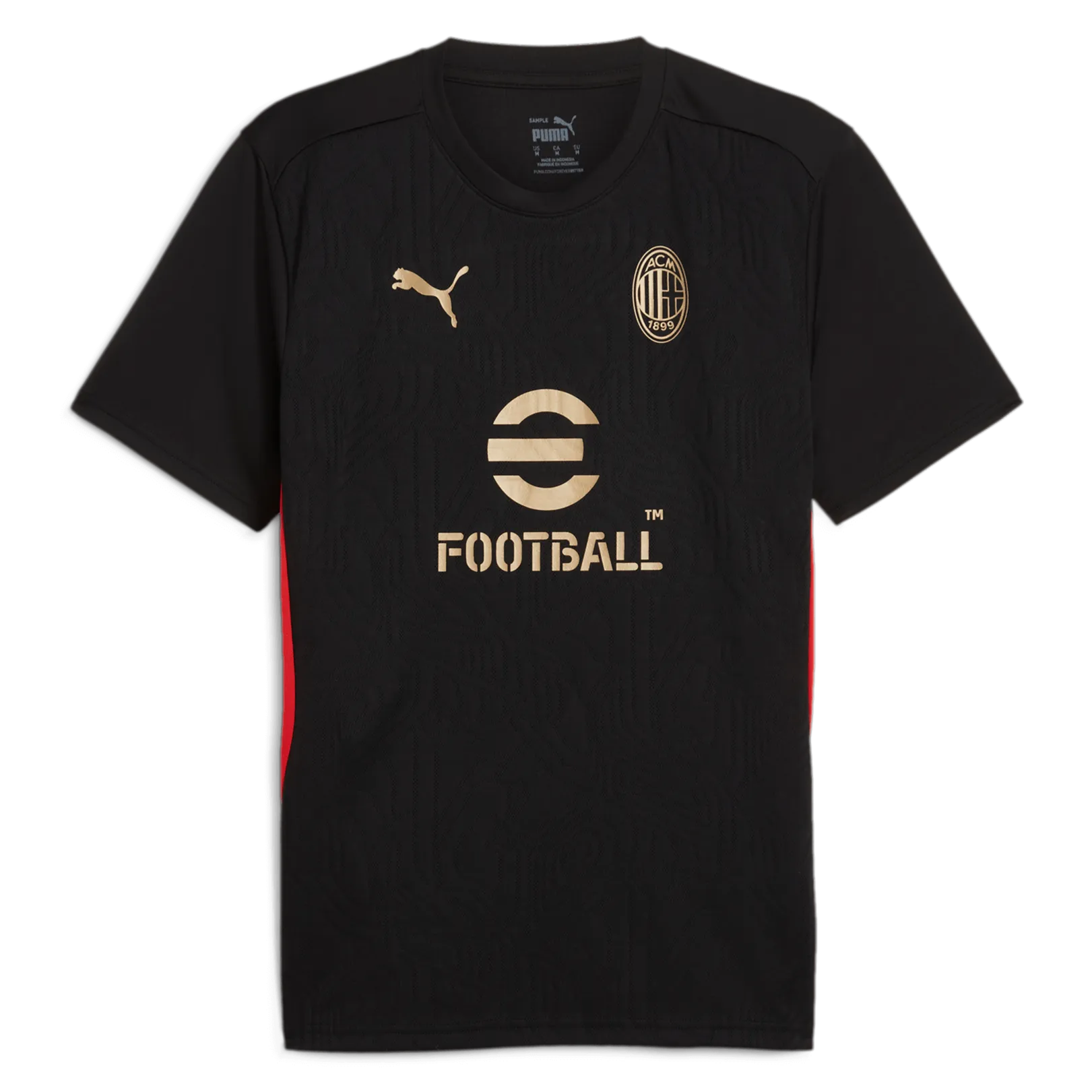 Puma 2024-25 AC Milan Men's Training Jersey (Front)
