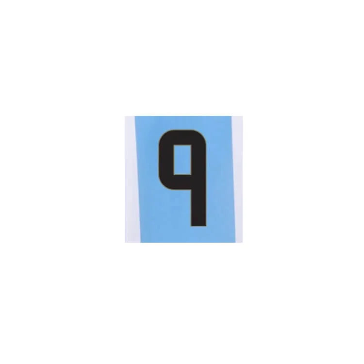 Argentina 2024 25 Home J. Alvarez #9 Jersey Name Set (Front)