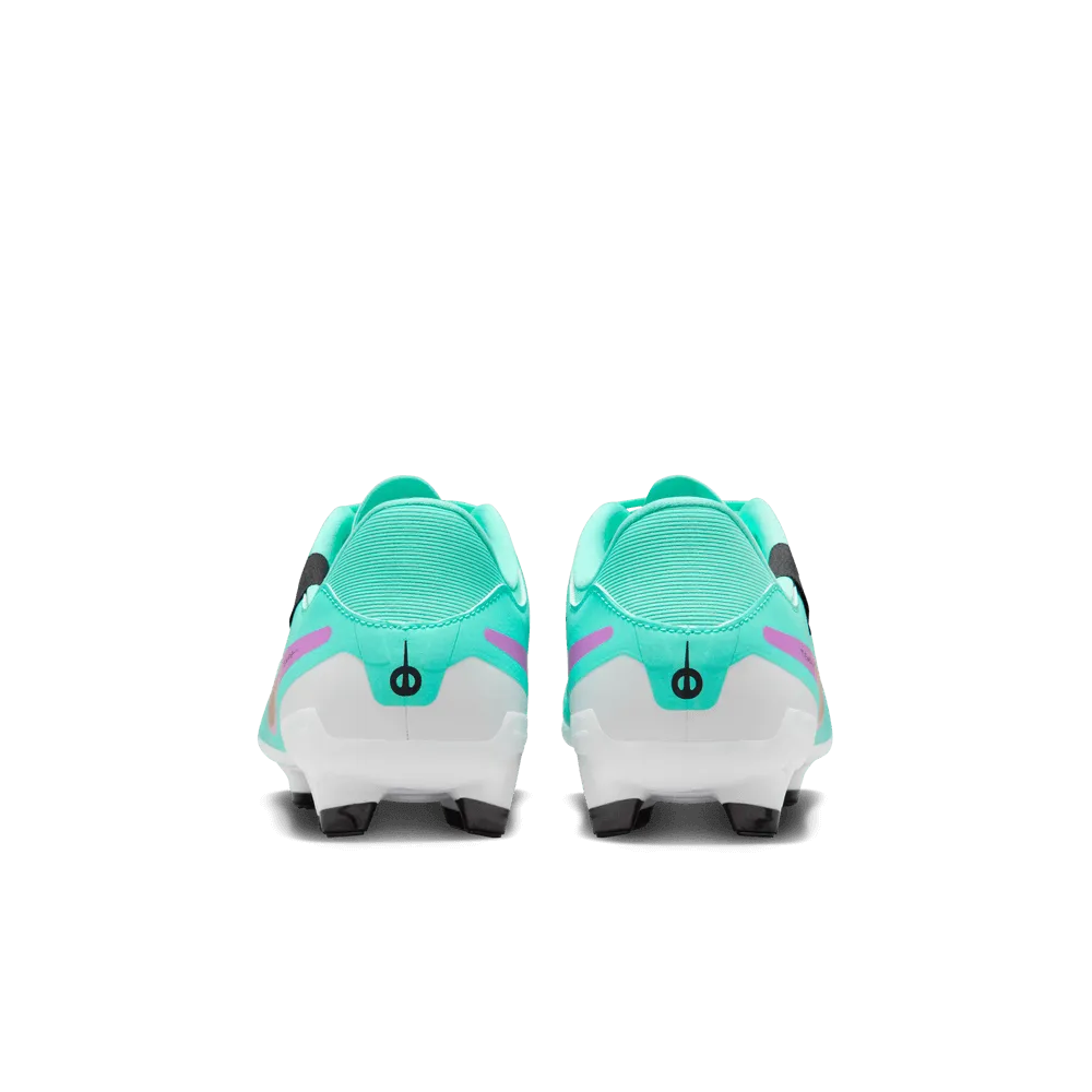 NIke Legend 10 Academy FG-MG - Perk Performance (HO23) (Pair - Back)