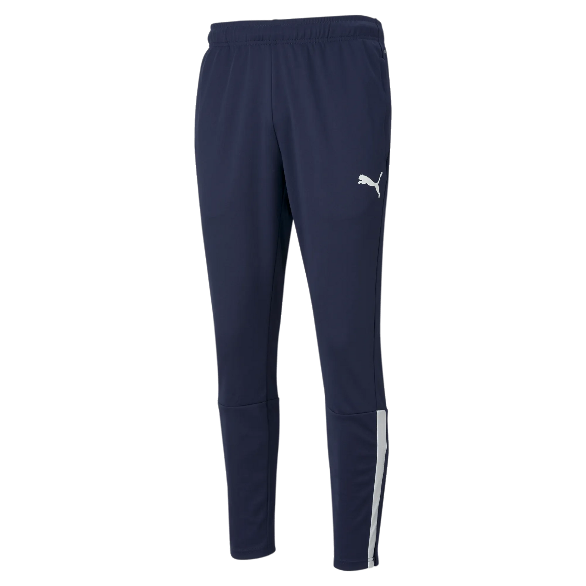 Puma TeamLiga Training Pants (Front)