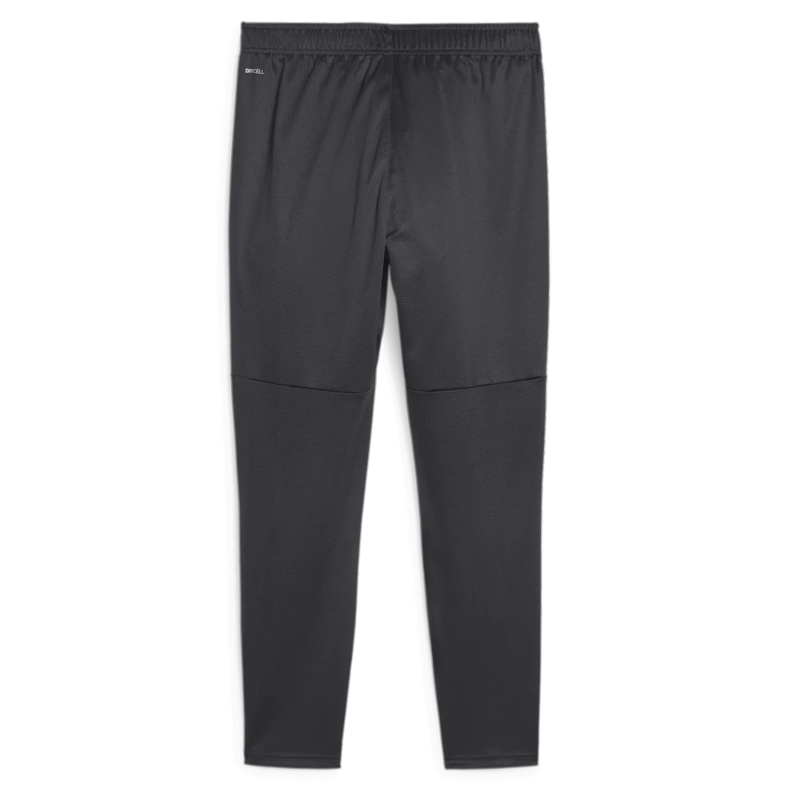 Puma 2023-24 Manchester City Men's Training Pants (Back)