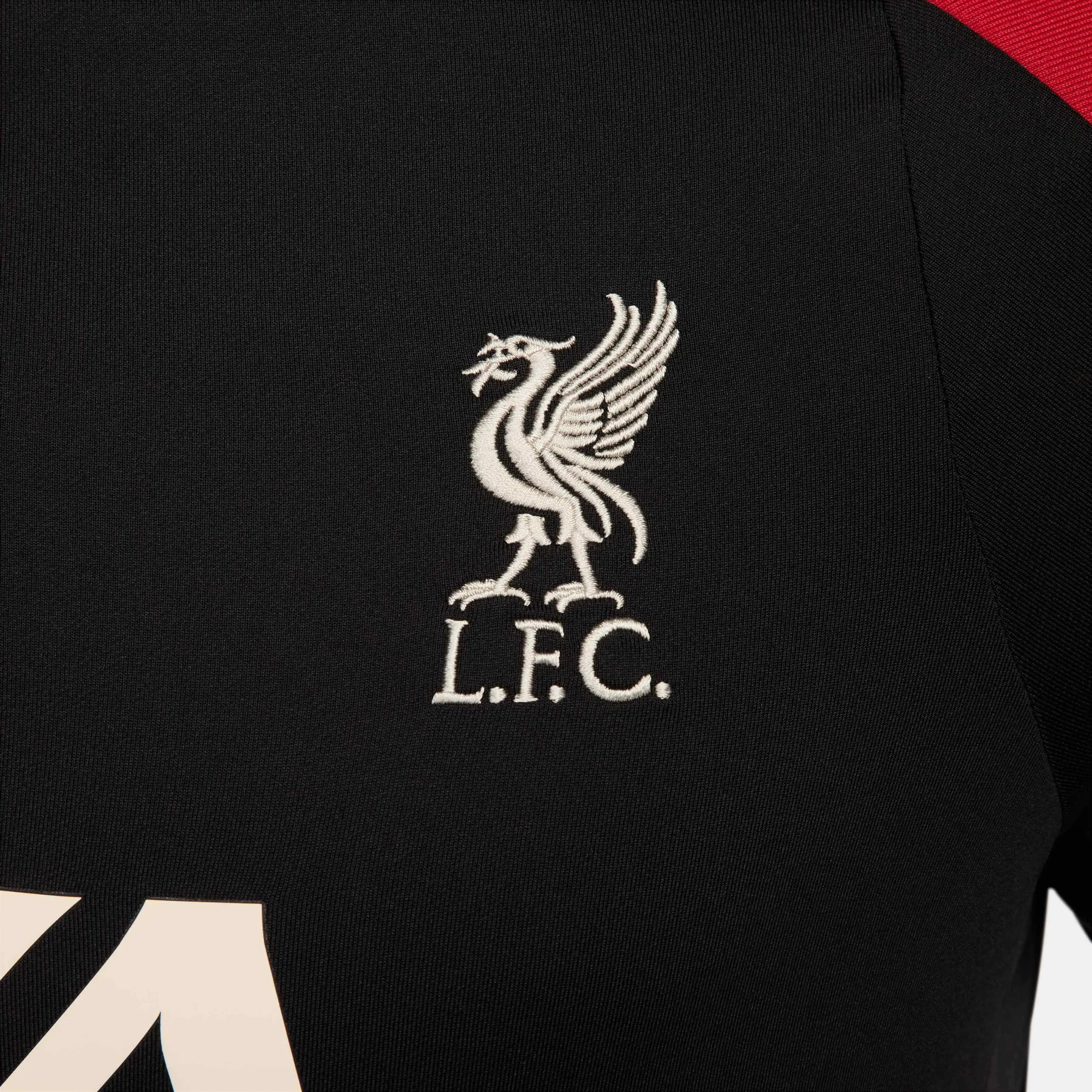 Nike 2024-25 Liverpool Men's Strike Drill Top Black/Black/Gym Red/Light Orewood Brown (Detail 2)