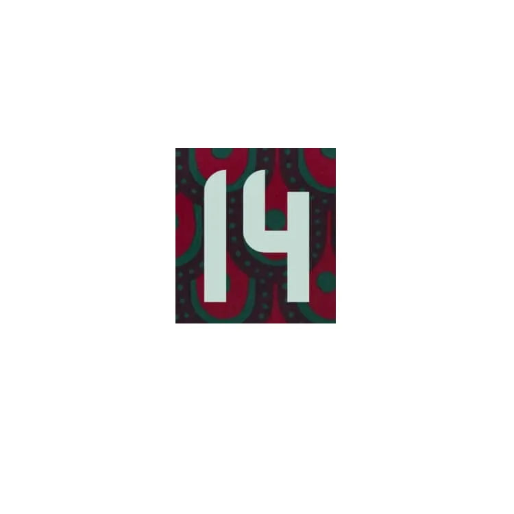 Mexico 2024 25 Home Chicharito #14 Jersey Name Set (Front)