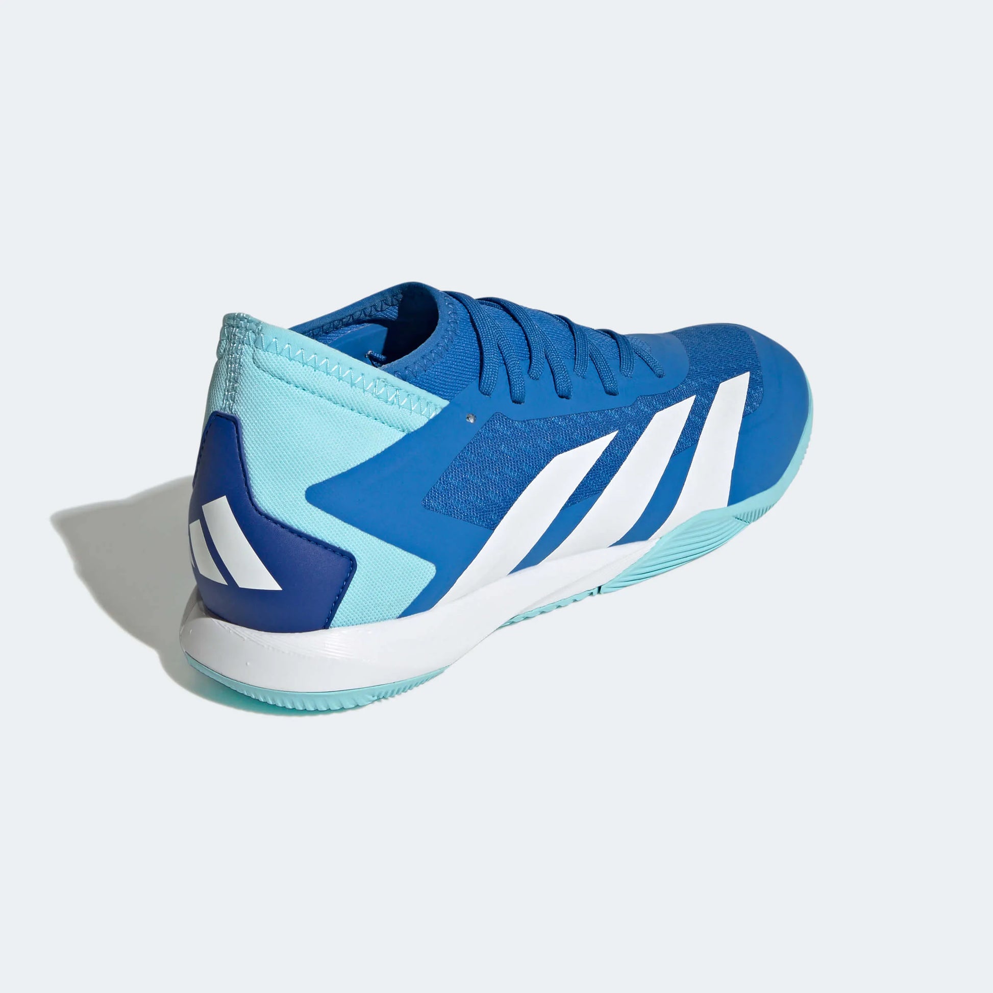adidas Predator Accuracy .3 Indoor - Marinerush Pack (HO23) (Lateral - Back)