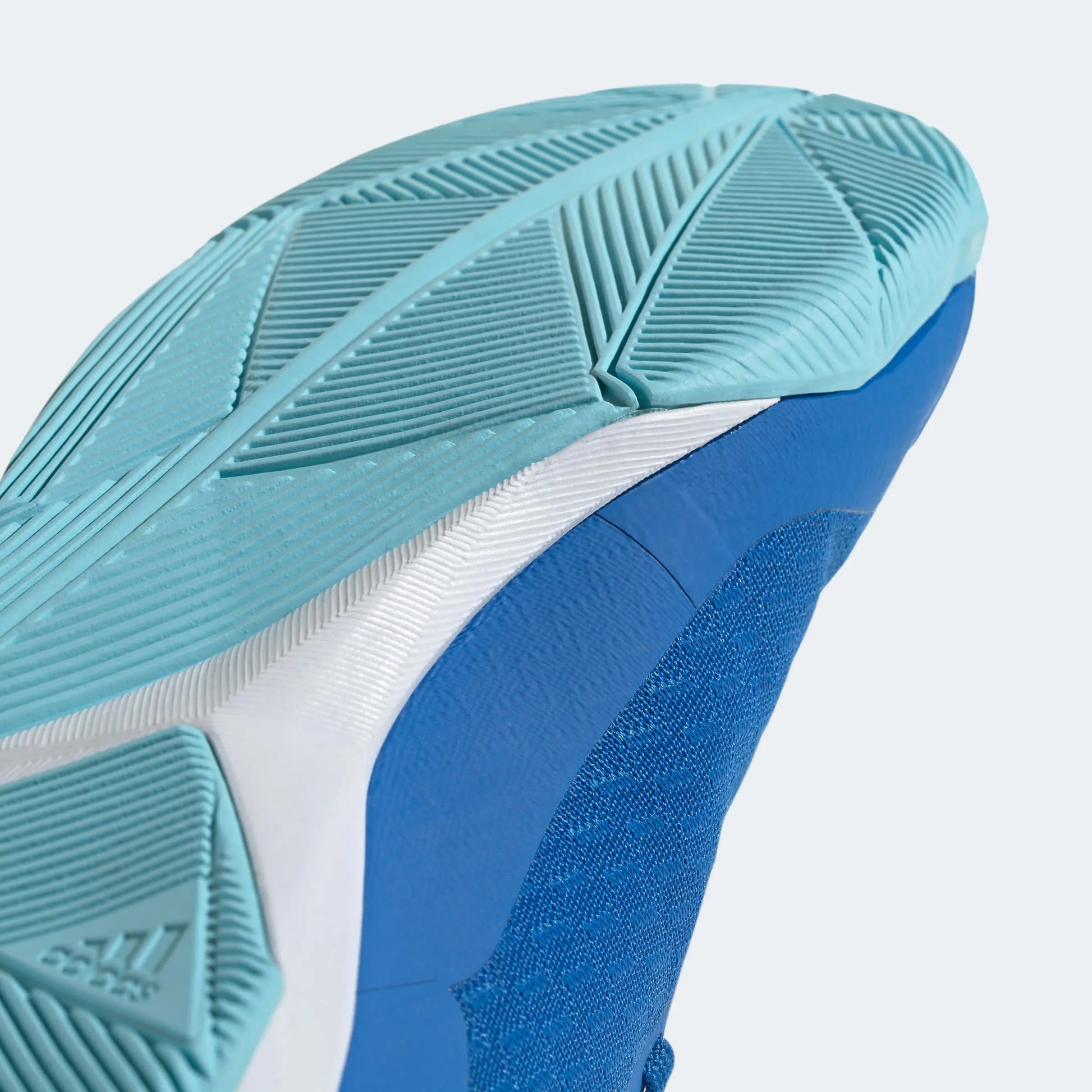 adidas Predator Accuracy .3 Indoor - Marinerush Pack (HO23) (Detail 2)