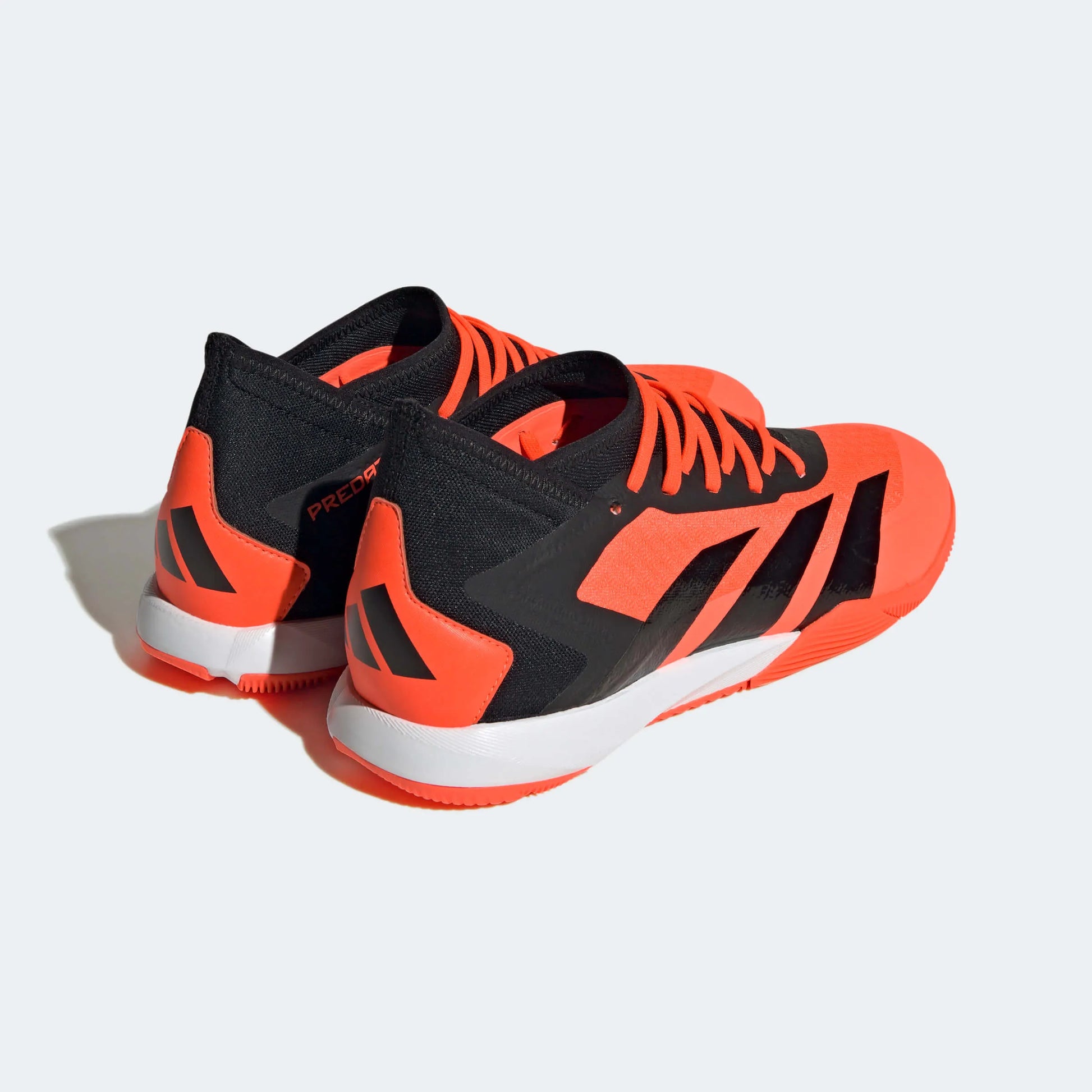 adidas Predator Accuracy.3 Indoor - Heatspawn Pack (SP23) (Pair - Back Lateral)