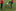 Kwik Goal Mini Soccer Tennis