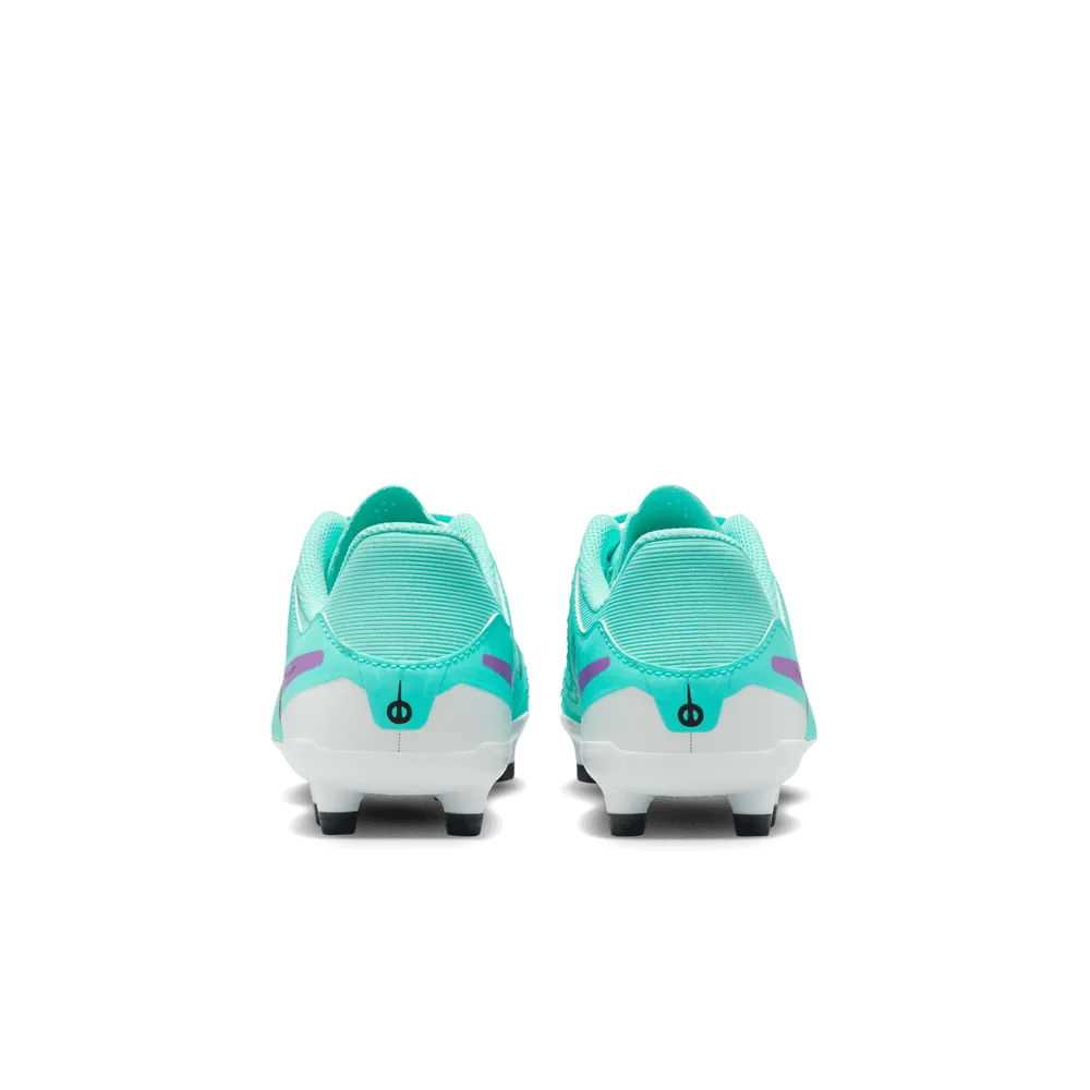 Nike Jr Legend 10 Academy FG-MG - Peak Ready Pack (HO23) (Pair - Back)