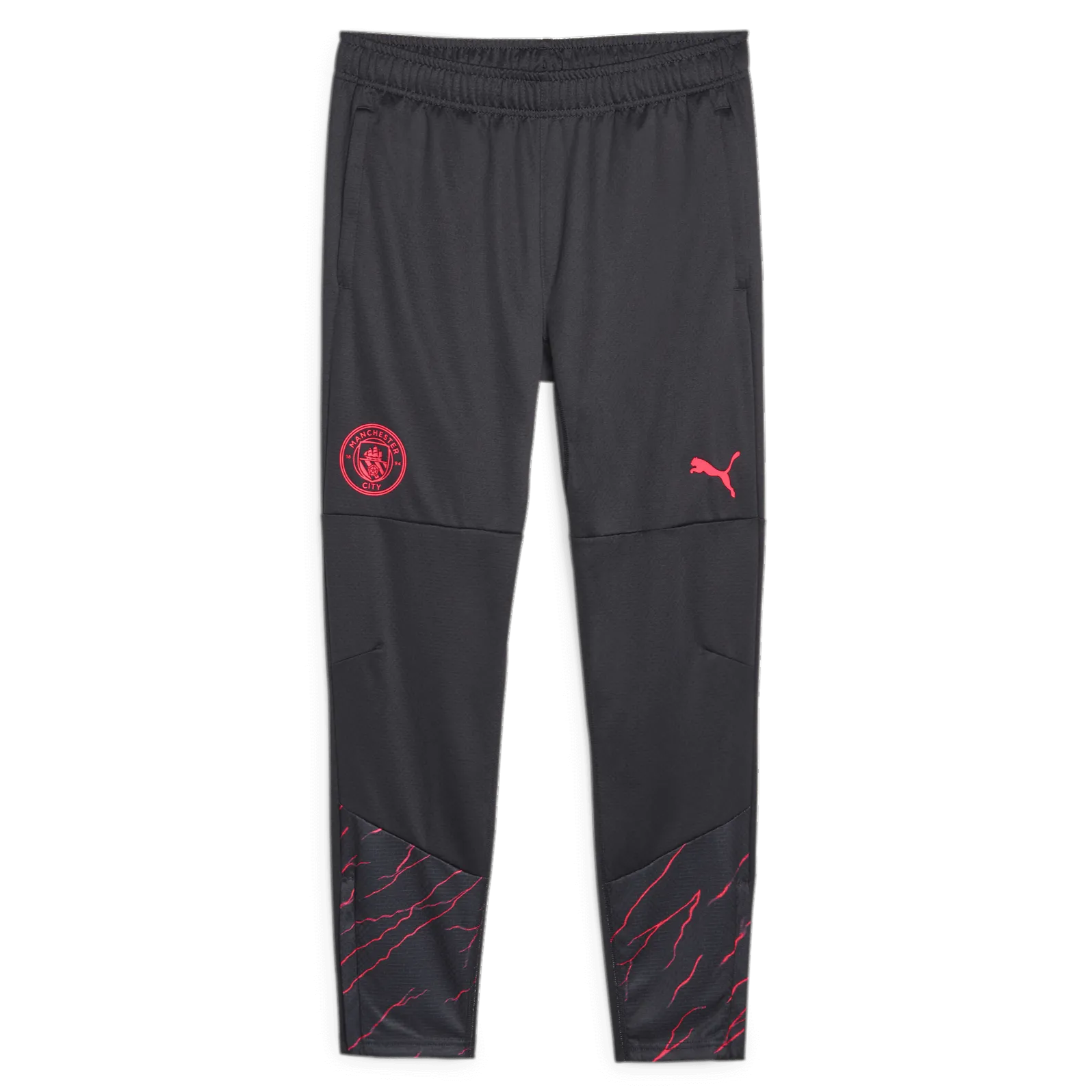 Puma 2023-24 Manchester City Men's Training Pants (Front)