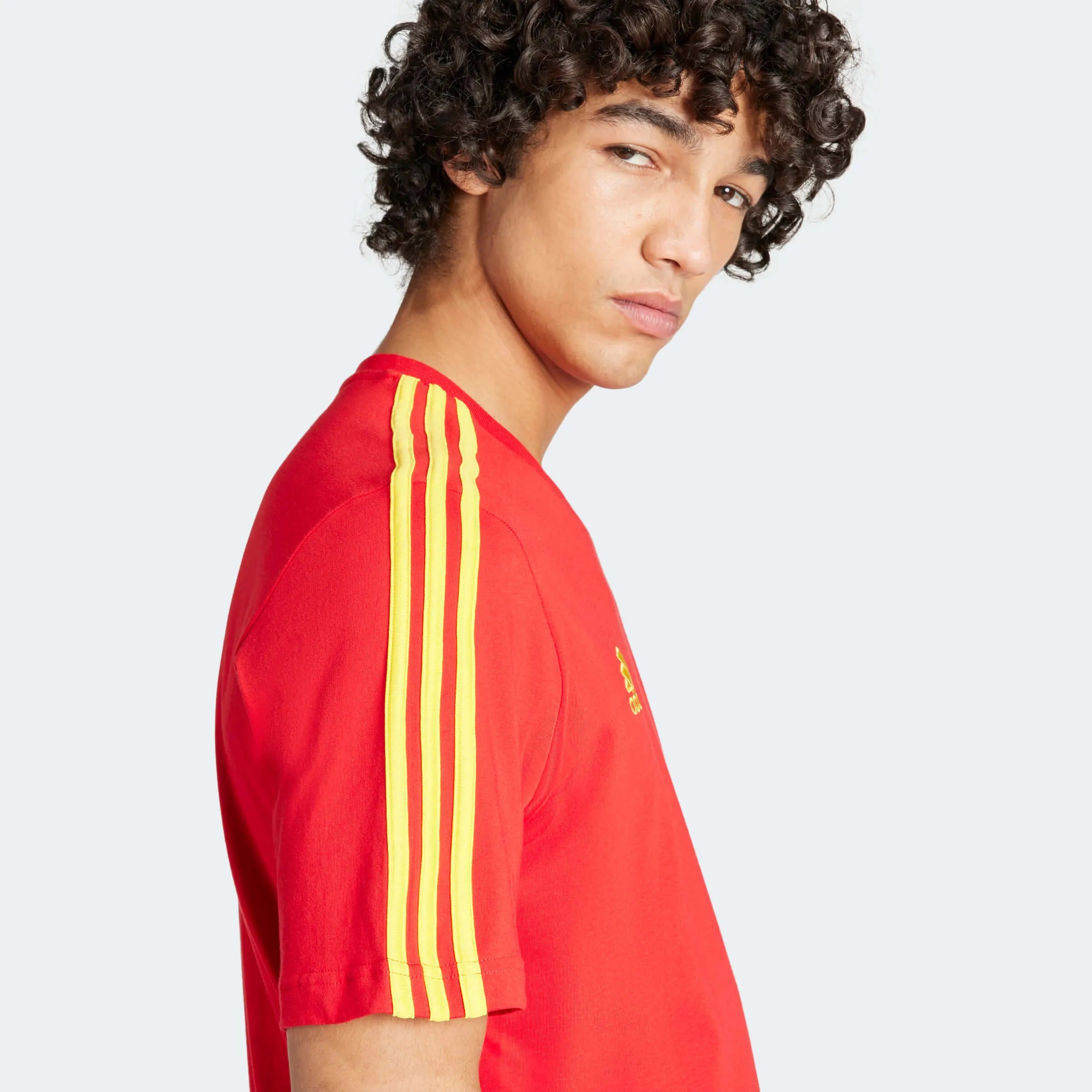 adidas 2024-25 Spain Men's DNA Tee (Detail 2)