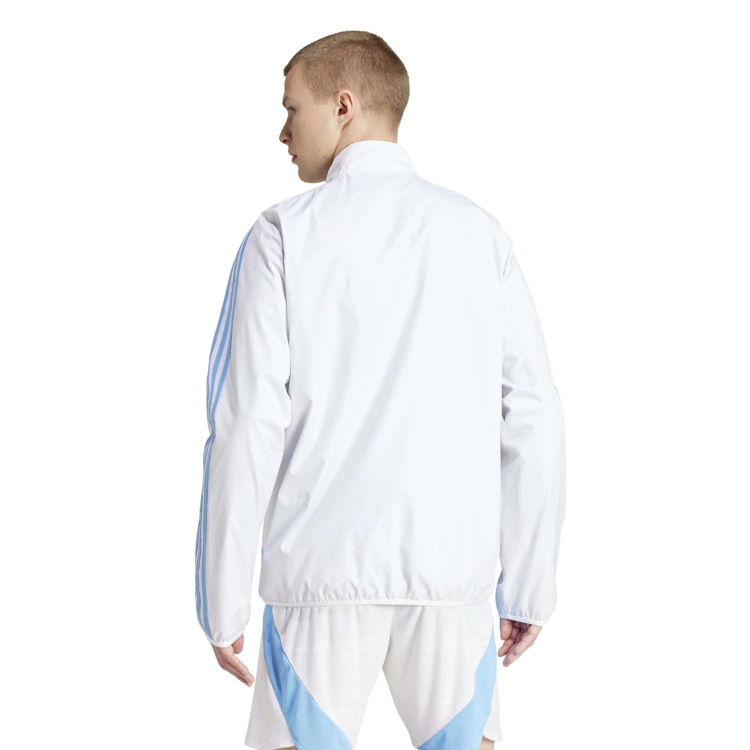 adidas 2024-25 Argentina Men's Anthem Jacket (Model - Back)