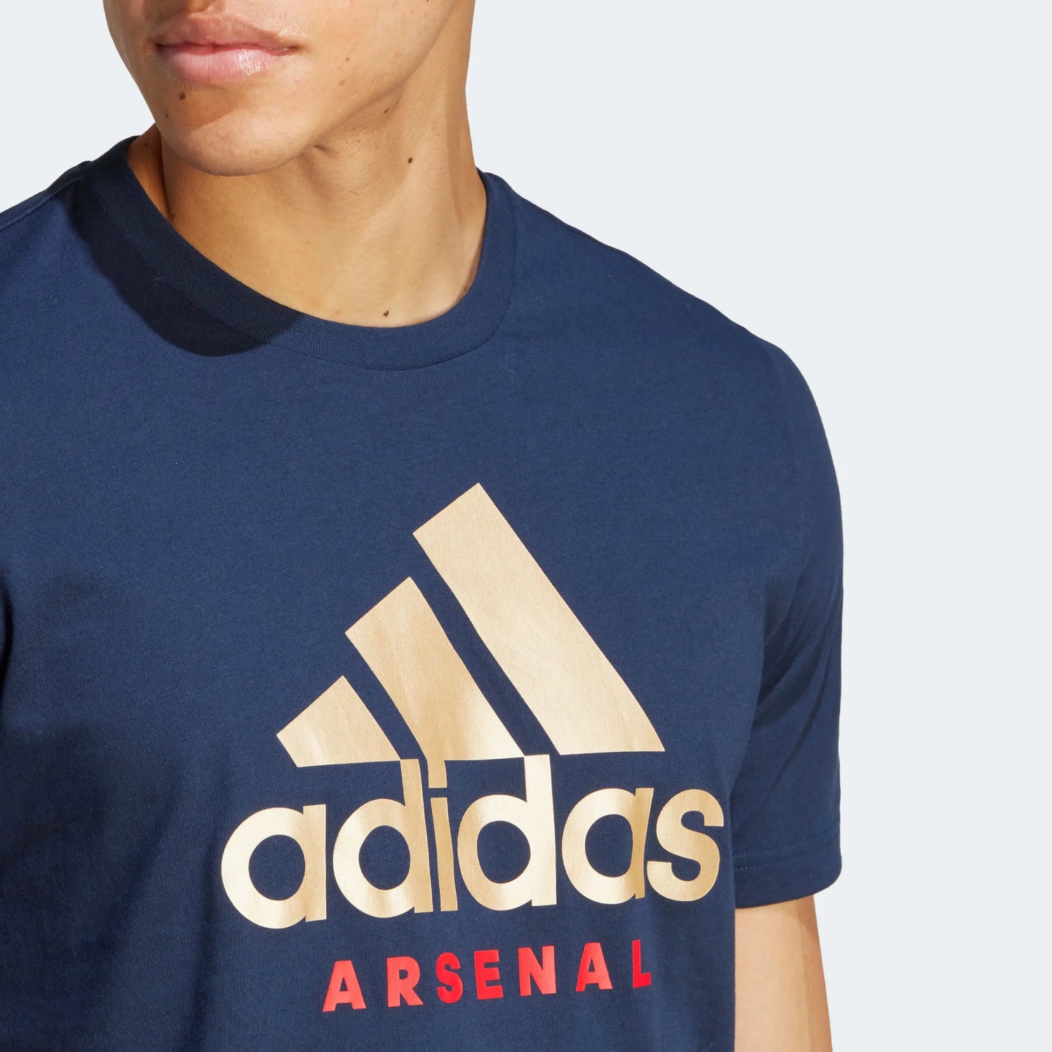 adidas 2023-24 Arsenal Men's DNA Graphic Tee (Detail 1)