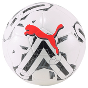 Puma Orbita 6 MS WB Training Ball (Front)