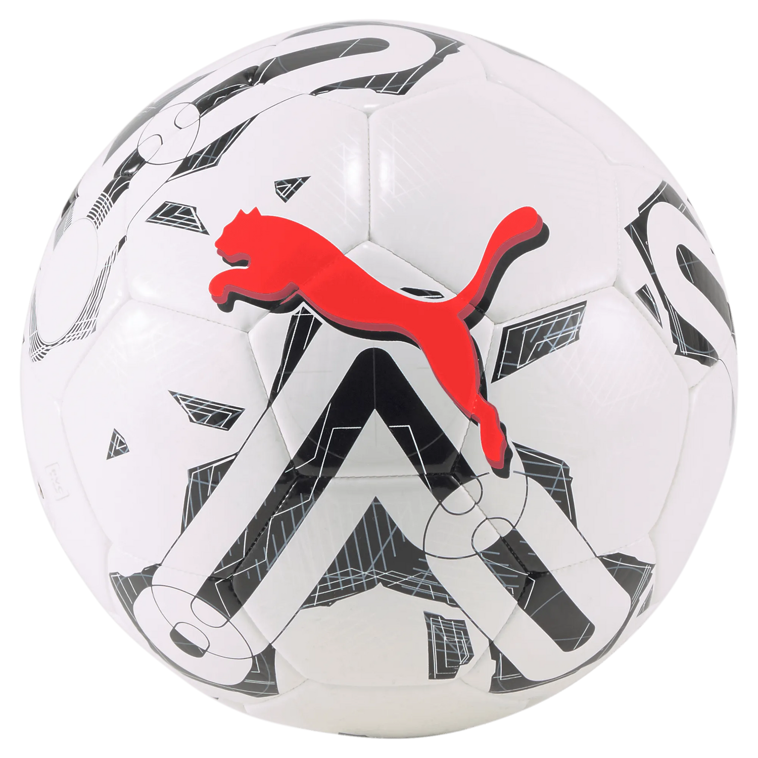 Puma Orbita 6 MS WB Training Ball (Front)