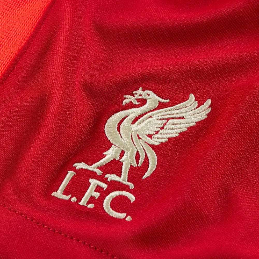 Nike 2021-22 Liverpool Dry-Fit Home Stadium Shorts - Gym Red-Crimson (Detail 1)