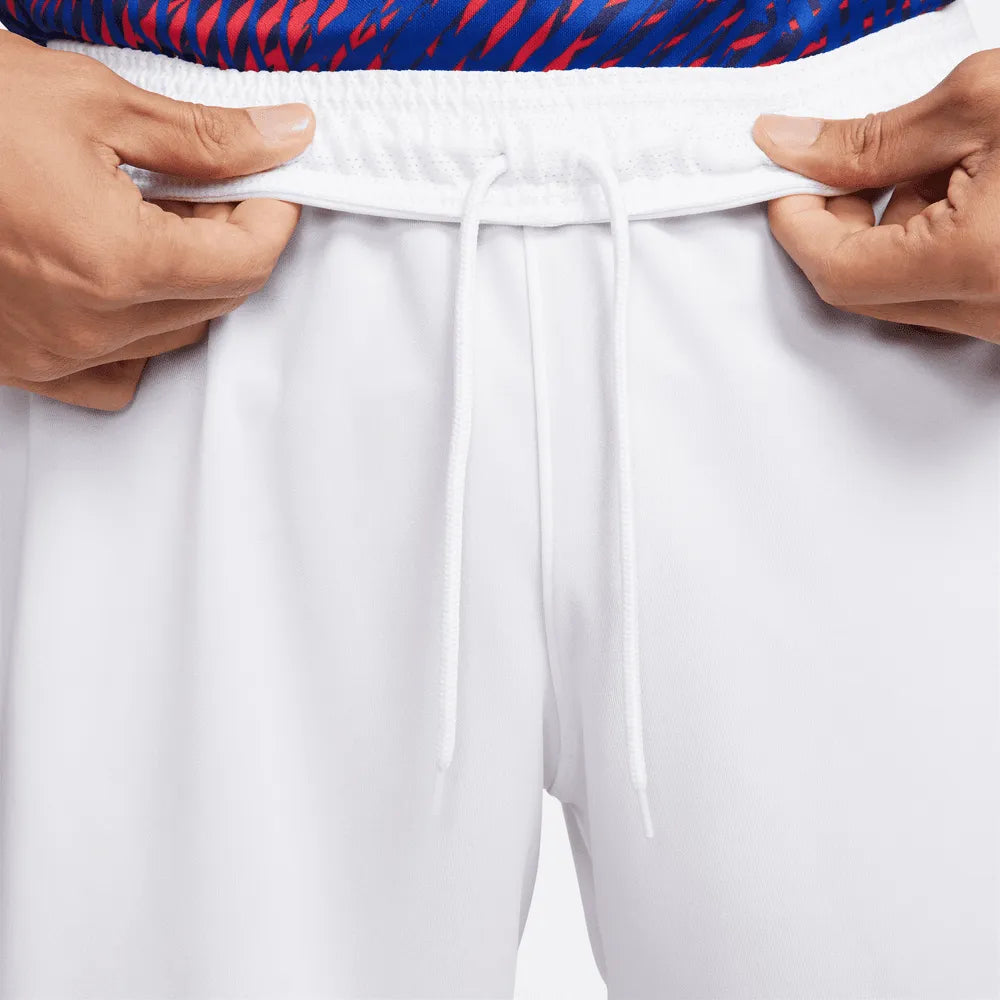 Nike 2022-23 Paris Saint-Germain Third Short (Detail 1)