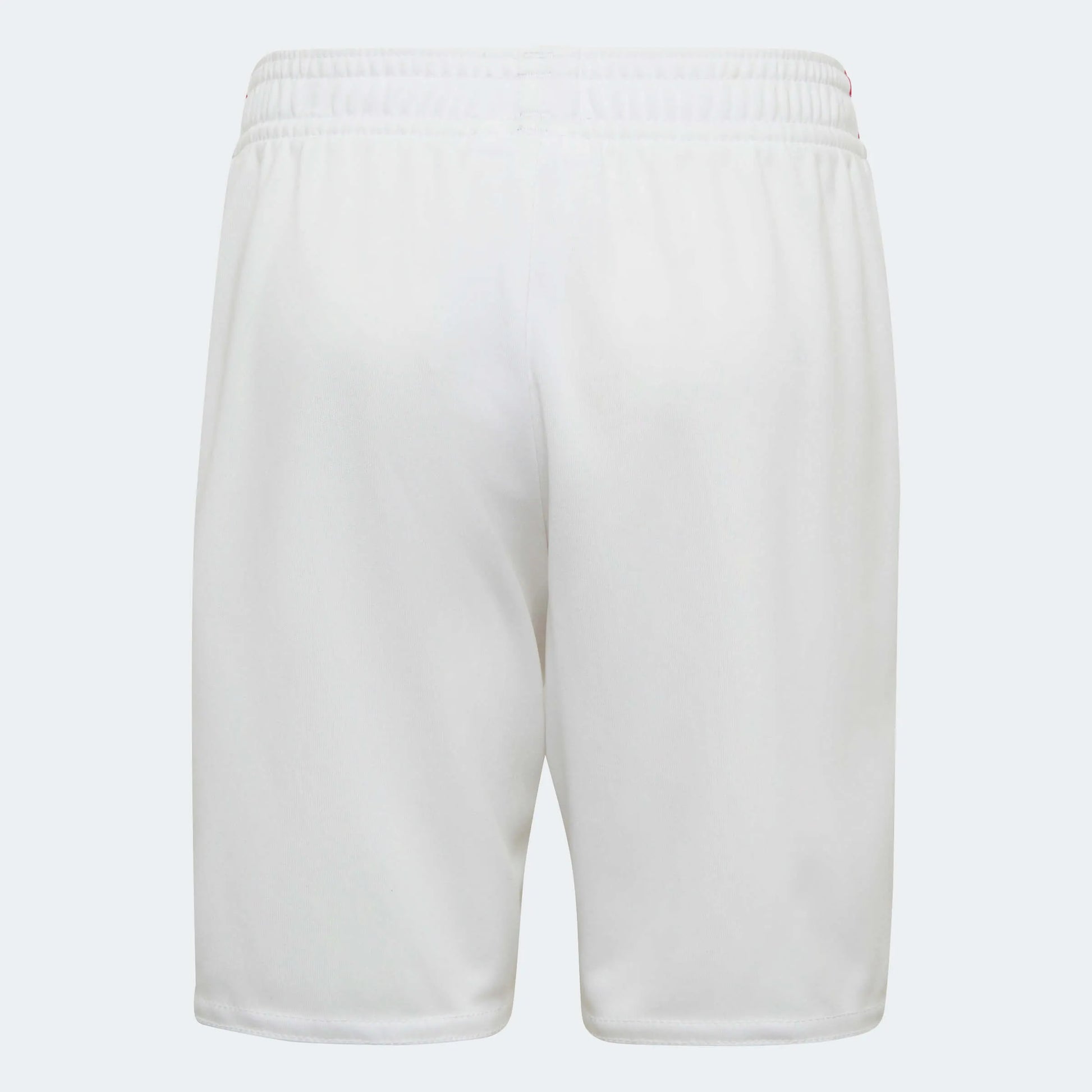 adidas 2022-23 Mexico Home Mini Kit (Shorts - Back)