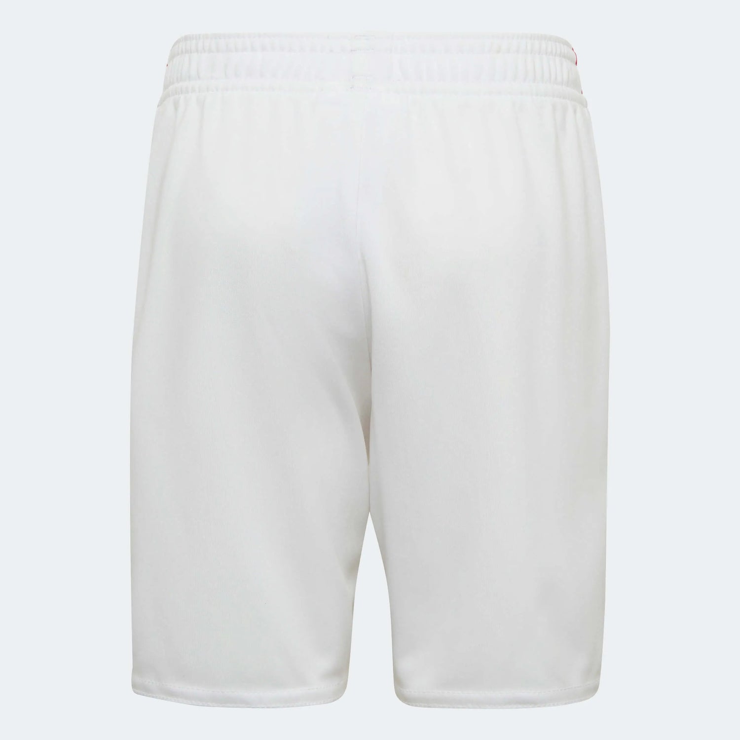 adidas 2022-23 Mexico Home Mini Kit (Shorts - Back)