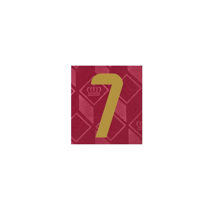 Belgium 2024/25 Home De Bruyne #7 Jersey Name Set (Front)
