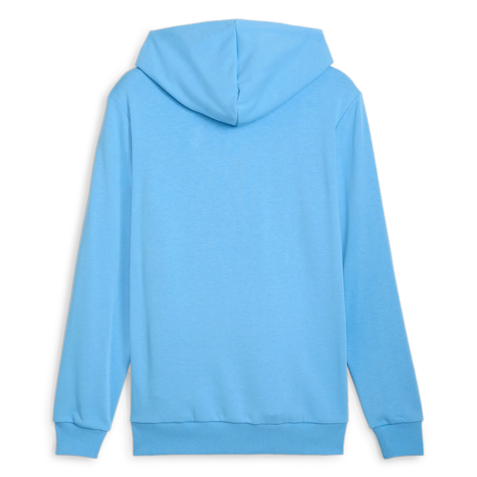 Puma 2024-25 Manchester City Men's FTBLCulture Hoodie (Back)