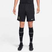 Nike 2023-24 Club America Men's DF Academy Shorts (Model - Front)