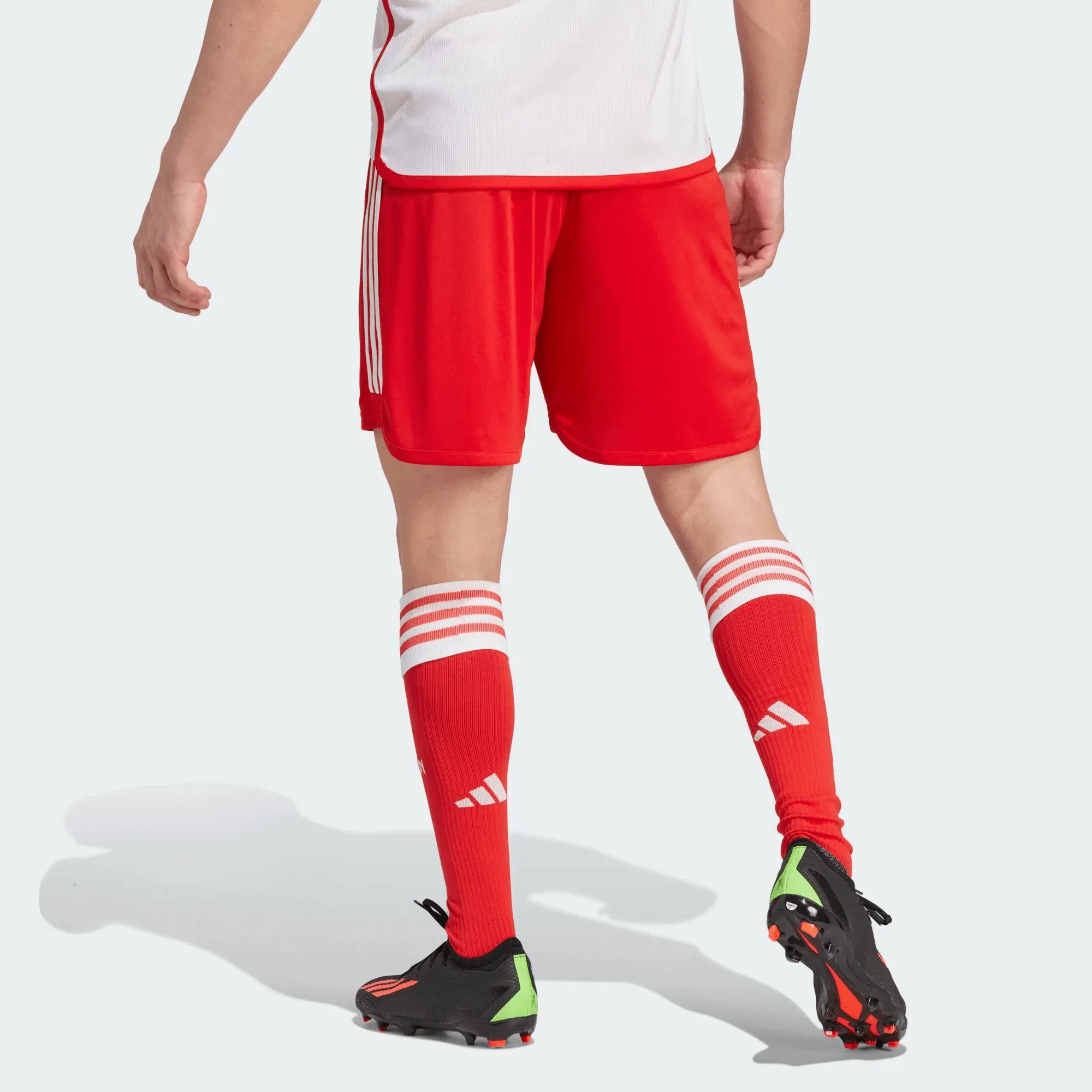 adidas 2023-24 Bayern Munich Men's Home Shorts (Model - Back)