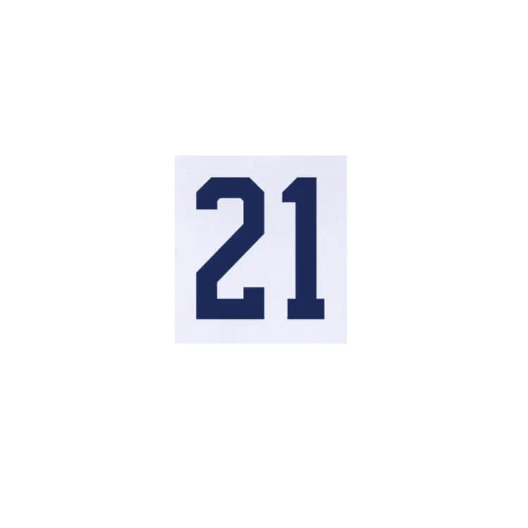 USA 2024/25 Home Weah #21 Youth Jersey Name Set (Front)