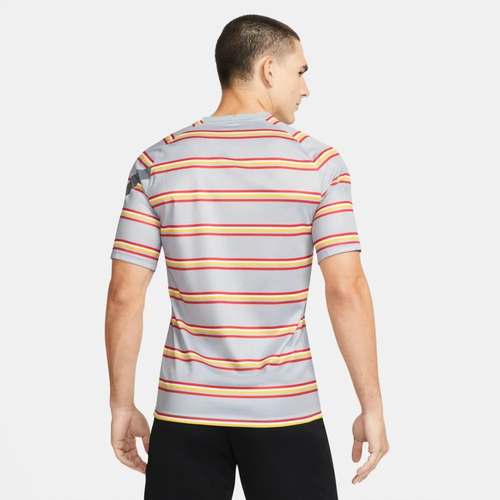 Nike 2021-22 Liverpool DF Pre-Match Jersey - Wolf Grey (Model - Back)