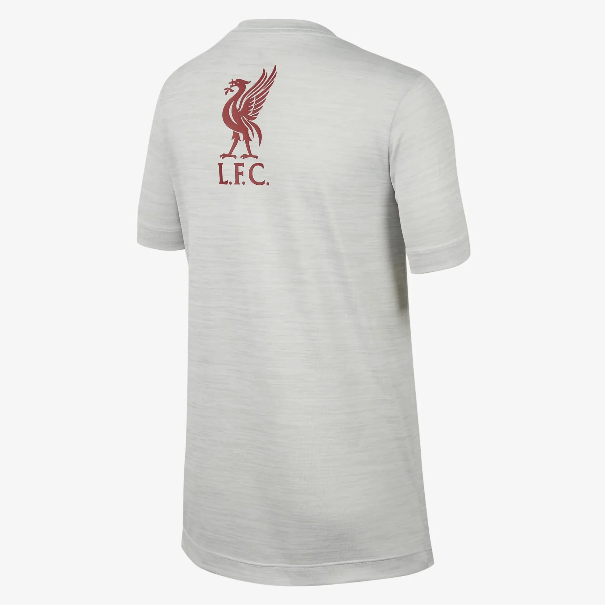 Nike 2022-23 Liverpool Youth Legend Tee (Back)