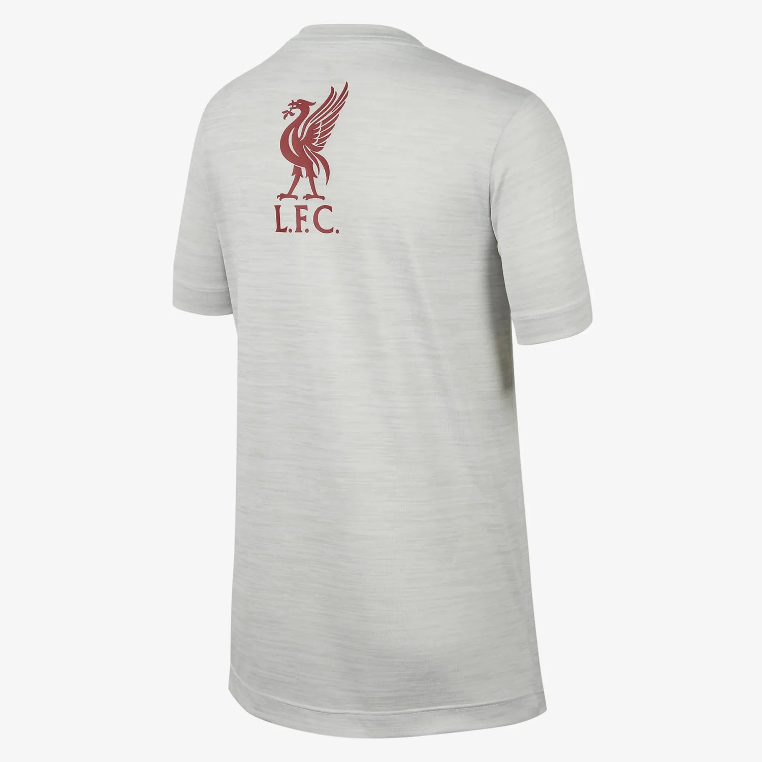 Nike 2022-23 Liverpool Youth Legend Tee (Back)