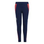 adidas 2024-25 Manchester United Youth Training Pants (Front)