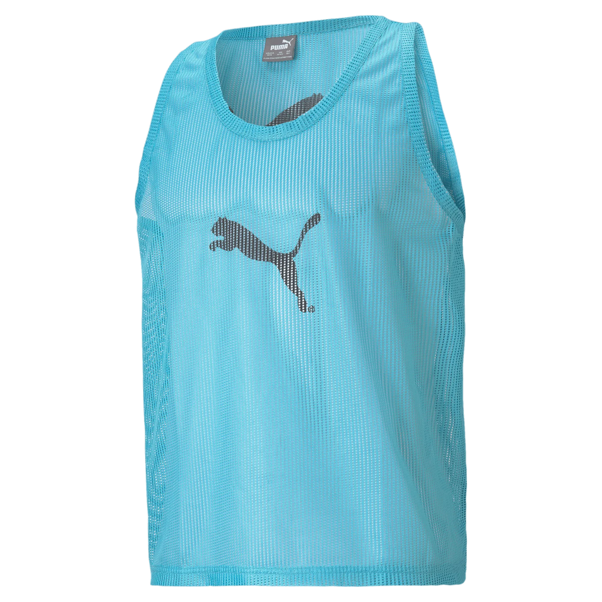 Puma Mens Training Vest Blue (Front)