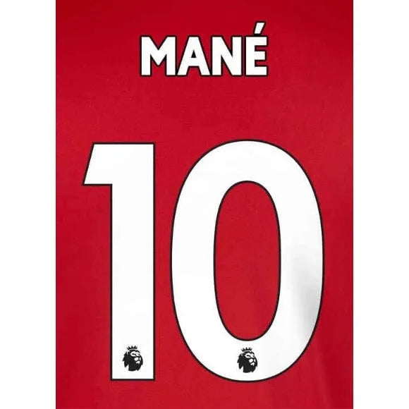 Liverpool 2019/22 Home Mane #10 Jersey Name Set