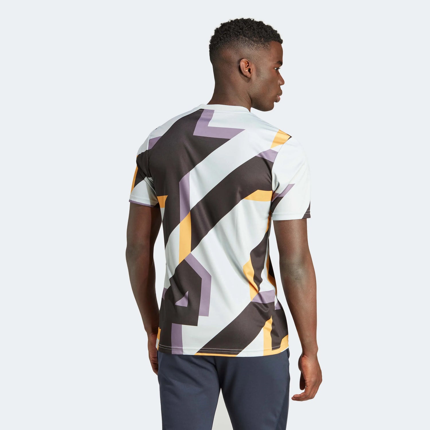 adidas 2023-24 Real Madrid Men's Pre-Match Jersey (Model - Back)