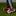 adidas Predator Elite FT FG - Solar Energy Pack (SP24)