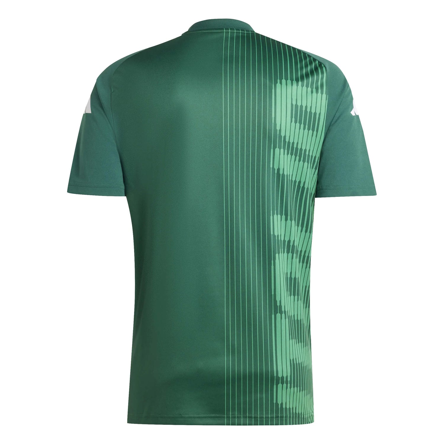 adidas 2024-25 Italy Men's Pre-Match Jersey (Back)