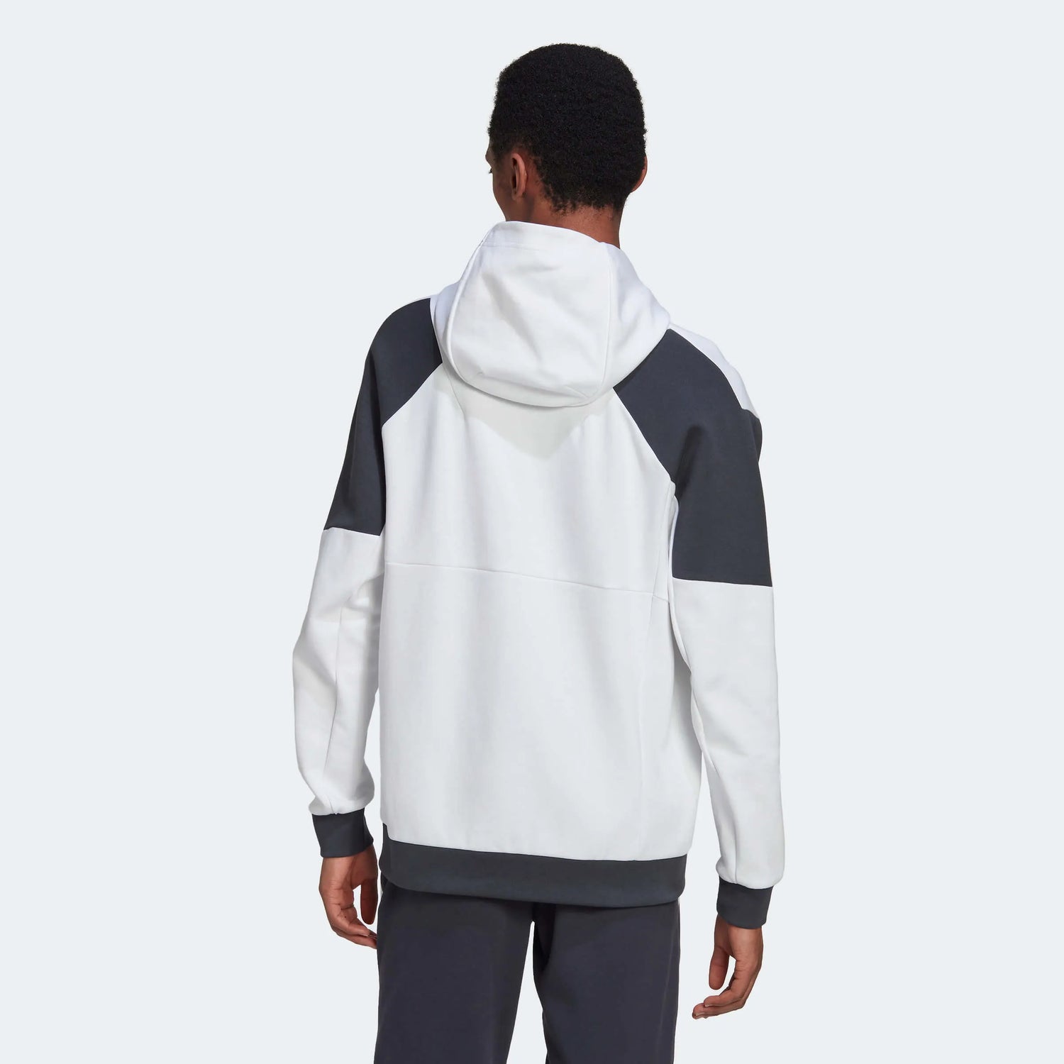 adidas 2022-23 Bayern Munich Travel Hoody - White (Model - Back)
