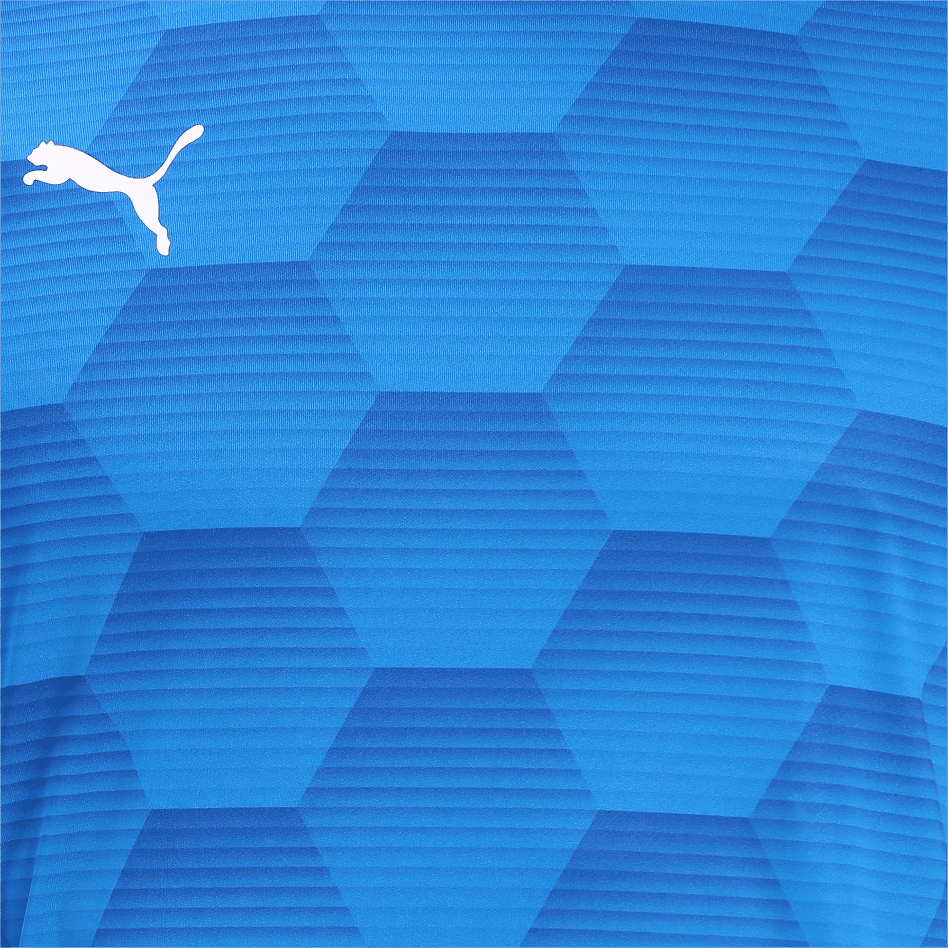 Puma Men's TeamFinal 21 Graphic Jersey Electric Blue Lemonade-Team Power Blue (Detail 1)