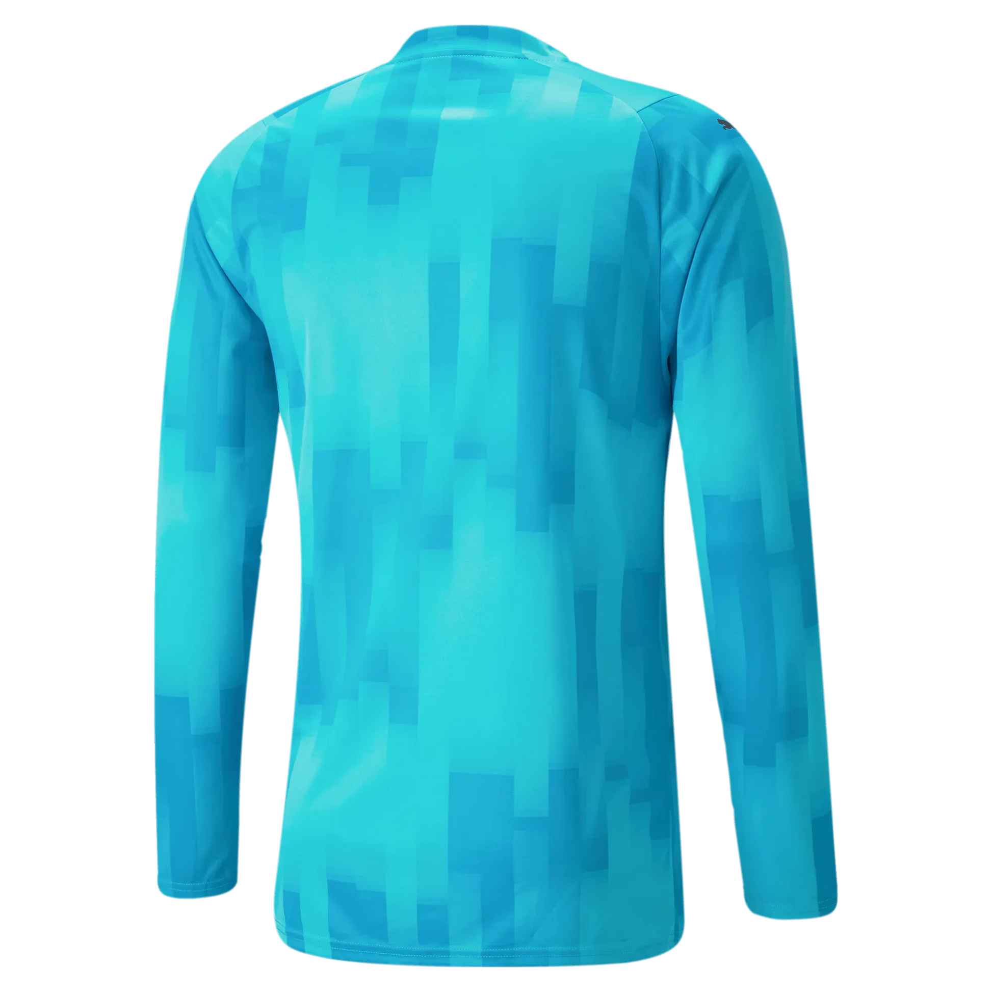 Puma Teamtarget Goalkeeper Longsleeve Mens Jersey Bright Aqua (Back)
