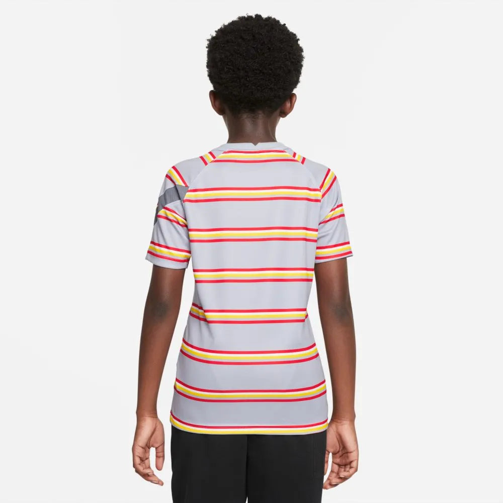 Nike 2021-22 Liverpool Youth DF Pre-Match Jersey - Wolf Grey (Model - Back)
