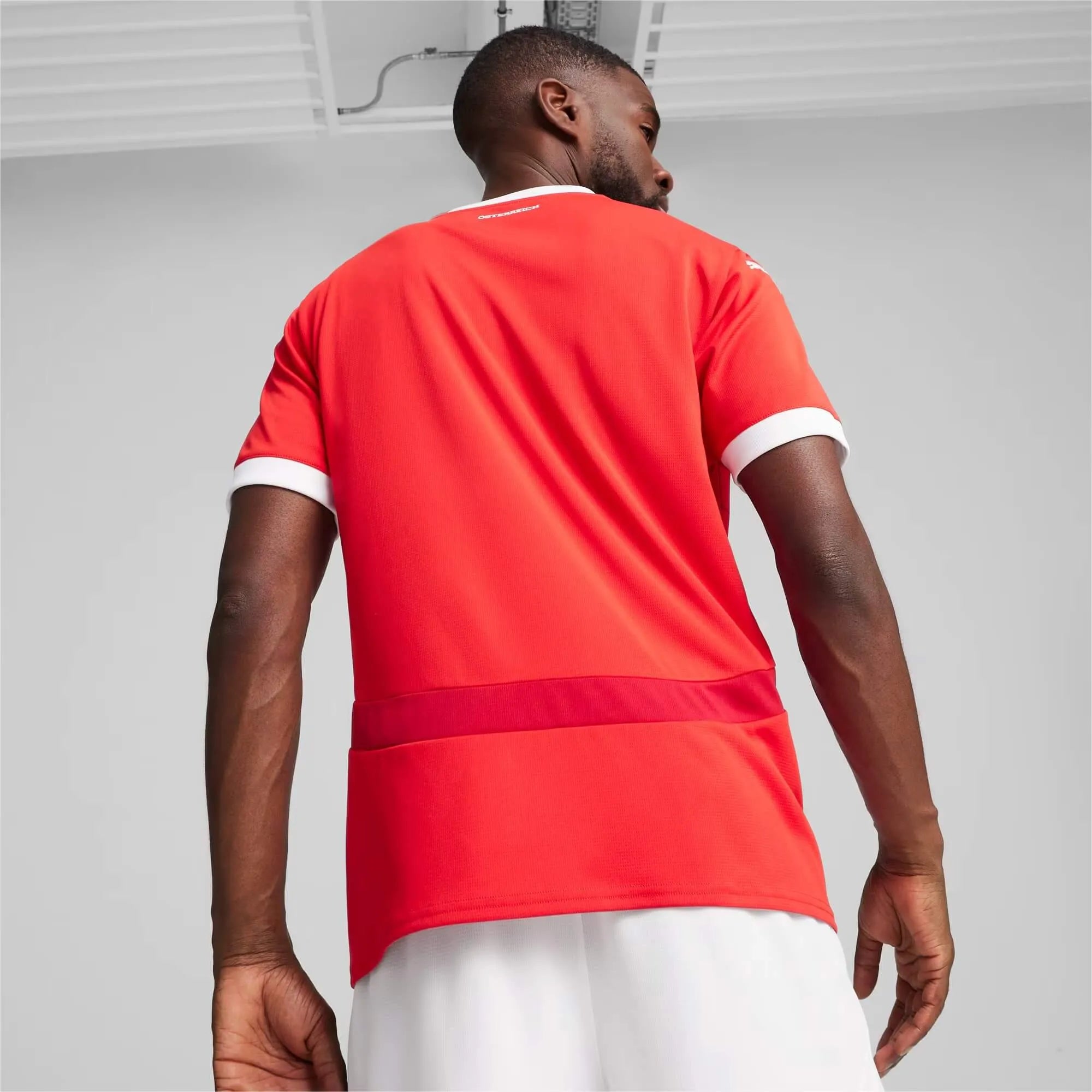 Puma 2024-25 Austria Men's Stadium Home Jersey (Model - Back)